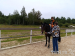 Иппотерапия и хоббихорсинг доступны семьям ветеранов СВО в Ленобласти