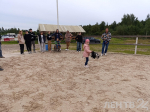 Иппотерапия и хоббихорсинг доступны семьям ветеранов СВО в Ленобласти