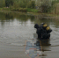 Из воды в Порошкино подняли утонувшего - 47 новостей
