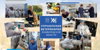С Днем ветеринарного работника поздравляют коллег в Управлении ветеринарии ЛО - 47Channel.Ru