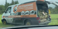 Микроавтобус с арбузами удирал от рейда в Петербурге по полям и под «Бригаду» - 47 новостей