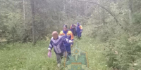 Искали одну, нашли двоих. Спасателям под Гатчиной повезло на грибников - 47 новостей