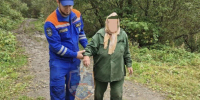 Спасатели вывели из леса 82-летнюю женщину, ушедшую за грибами у Красниц - 47 новостей