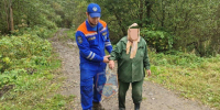 Спасатели вывели из леса у деревни Красницы заблудившуюся женщину - 47Channel.Ru