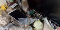 Человек из поселка с усадьбой Ганнибала задержан с 15 кило наркотиков. Петербуржцу сорвали сделку с десятком пакетов - 47 новостей