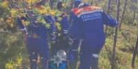 Мужчину на носилках несли к машине скорой после ночи в лесу у Никольского - 47 новостей