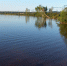 На Кавголовском озере подросток не смог выбраться из воды и погиб - 47Channel.Ru