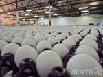 Александр Дрозденко посетил АО «Птицефабрика Синявинская»