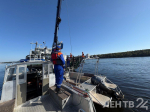 В Ленобласти со дна Невы подняли противотанковую пушку «Ленинградка»