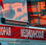 Стало известно о состоянии новорожденной, найденной в коробке у мусоропровода во Всеволожске - 47 новостей