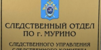 Во Всеволожском районе мужчина предстанет перед судом за умышленное причинение тяжкого вреда здоровью несовершеннолетнему - Следственный комитет
