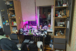 В Петербурге полиция задержала наркозакладчицу на каршеринге