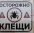 И не думают спать. У клещей почти 1,2 тысячи жертв в Петербурге и Ленобласти за неделю - 47 новостей