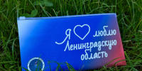 В Ленобласти впервые голосующие получают подарки - Online47.Ru