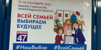 Жители Всеволожского района активно голосуют на губернаторских выборах - ЛенТВ24