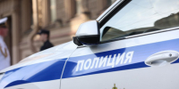 В Петербурге у субтильной дамы нашли наркотик, которым можно свалить больше сотни реальных слонов - 47 новостей