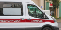 В лесу на окраине Петербурга двое махали стволом и дубинкой-телескопом - 47 новостей
