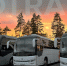 Автобусный маршрут №869 «Санкт- Петербург - Шугозеро» возобновил работу - Комитет по транспорту