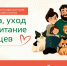 Поздравляем победителей конкурса «Забота, уход и воспитание питомцев» - Управление ветеринарии