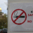 В Ленобласти запретят несовершеннолетним посещать кальянные и курительные залы - ЛенТВ24