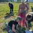 В подпорожском лесничестве прививали любовь к природе и озеленяли набережную - 47Channel.Ru