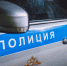 На Вантовом мосту во Всеволожском районе сбили двух пешеходов - Online47.Ru