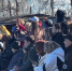Смешались в праздник кони, люди… и собаки — в Петергофе ДОСААФ порадовал семьи воинов СВО - 47Channel.Ru