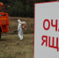 Условный очаг особо опасной болезни ликвидировали в Выборгском районе - Управление ветеринарии