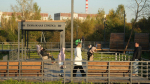 В Ленобласти благоустроили почти 80 из запланированных 97 территорий