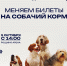 Быть человеком: в День защиты животных ленинградцы собирают корма для приютов и учат милосердию детей - 47Channel.Ru