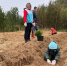 Ленобласть присоединилась к Всероссийской акции «Сохраним лес» - ЛенТВ24
