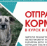 В Ленобласти собирают корм животным приютов Курска и Енакиево. Первая отправка запланирована в ноябре  - 47 новостей
