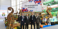 «Золотая осень»: опыт Ленобласти — для АПК всей России - Комитет по АПК