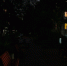 img - ЛДПР