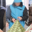 Как теперь строят финансовые пирамиды. В каком «Монтаж Ритейле» ищут 600 миллионов - 47 новостей