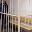 Арестован директор стройфирмы. Его подозревают в крупой взятке задержанному главе лужской администрации Намлиеву - 47 новостей