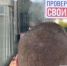 Ветераны СВО проверяют доступность музеев и мемориалов на Дороге жизни - 47Channel.Ru