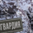 В Петербурге пьяная женщина отомстила бывшему, разгромив кирпичом его БМВ - 47Channel.Ru