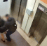 Человек-кепка окажется в суде за два налета на женщин в Буграх - 47 новостей