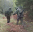 Военнослужащие бригады связи Ленинградского военного округа провели учения - Online47.Ru