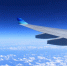Авиакомпания Flynas планирует запустить прямые рейсы в Петербург из Саудовской Аравии - Online47.Ru