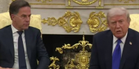 «Мы сделаем это в будущем»: Трамп отменил встречу с Путиным в Будапеште - Online47.Ru