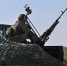 Военизированное подразделение «БАРС-47» появится в Ленобласти - 47Channel.Ru