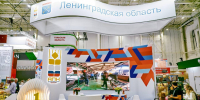 Ленобласть будет первой в России выращивать сибасов - 47Channel.Ru