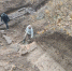 В Приютино археологи обнаружили фундамент старинной бани - Online47.Ru