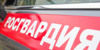 За 400 долларов. Пару в Петербурге поймали за поджог на ж/д - 47 новостей