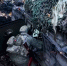 Видео: военнослужащие расчетов самоходных гаубиц «Гвоздика» группировки войск «Север» уничтожают вражеские укрепления - Online47.Ru