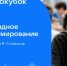 Российских школьников приглашают к участию в олимпиаде по программированию «Технокубок» - ЛенТВ24