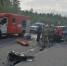 Водитель задержан по подозрению в допущении смертельного ДТП в районе Светогорска - 47Channel.Ru