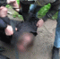 УФСБ по Петербургу и Ленобласти задержали сообщника спецслужб Украины - 47Channel.Ru